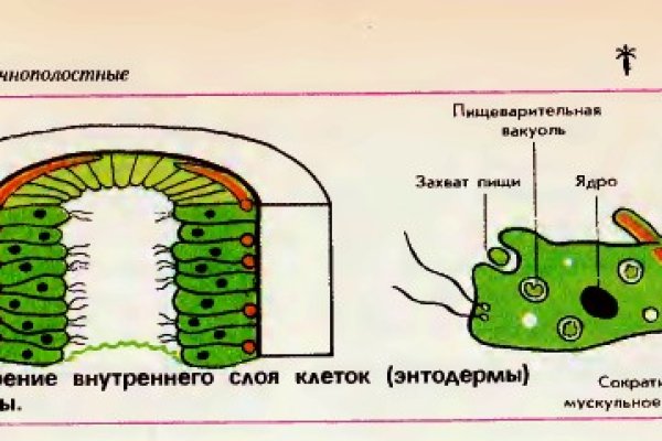 Кракен перестал работать