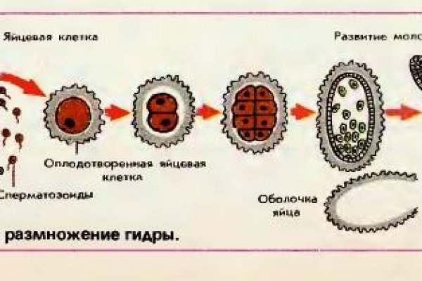 Кракен продажа наркотиков